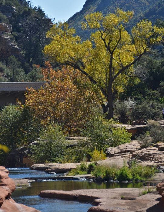 water of Oak Creek at Slide Rock SP